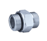 مغزی آلمانی